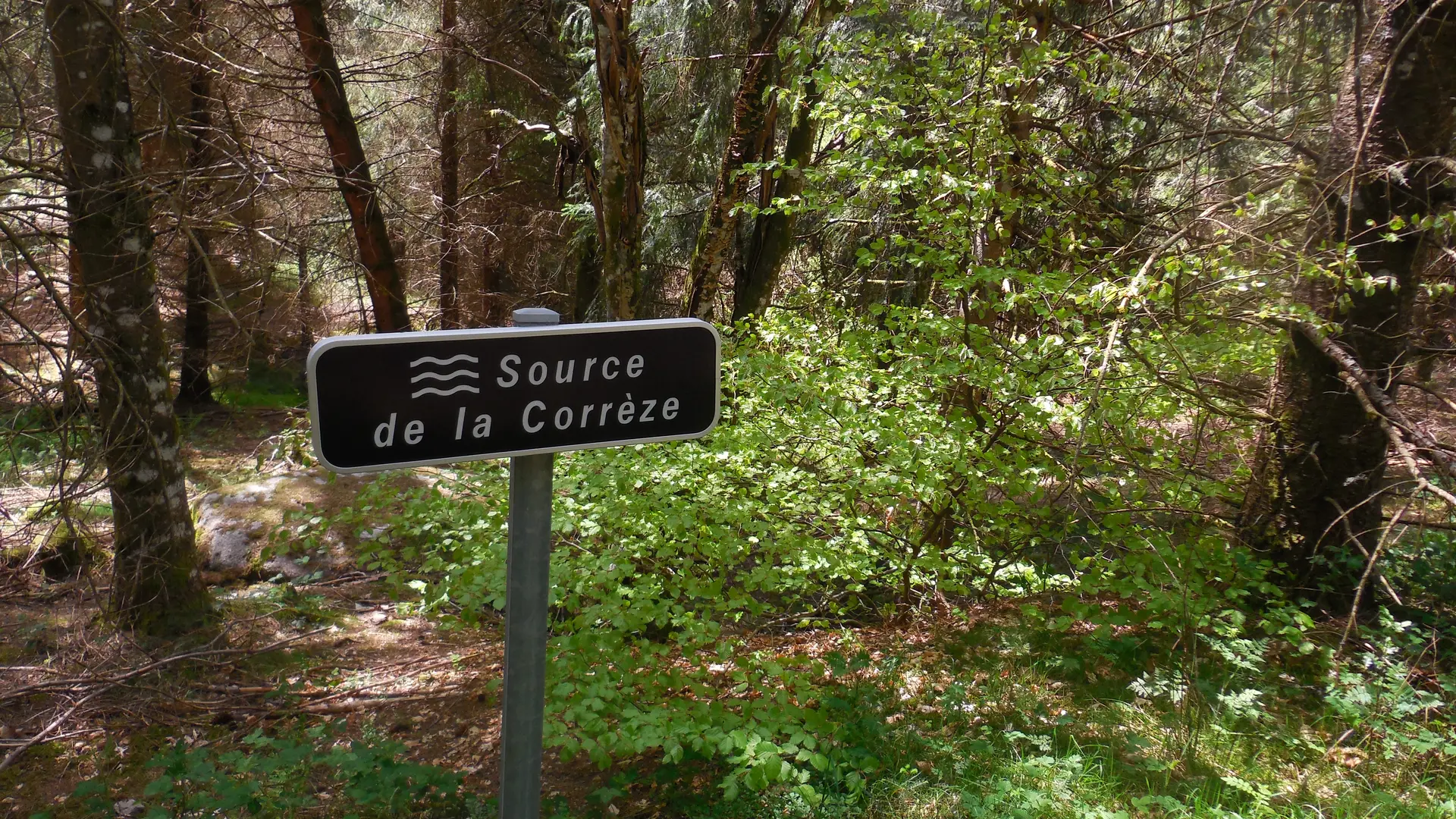 POIS_-_Bugeat_-_circuit_VTT_39_-_source_de_la_COrreze_-_auteur_Gilbert_Salat