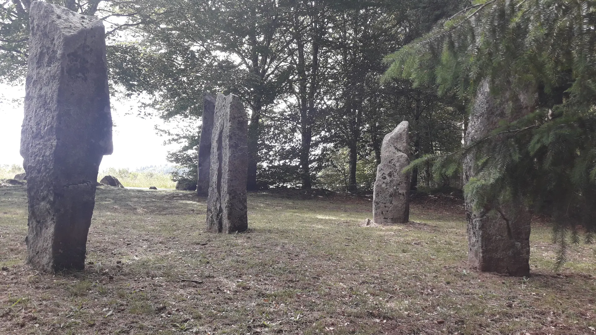 POIS1_LamaziereHte_VTT63_plaine_filles_HCC_GSalat