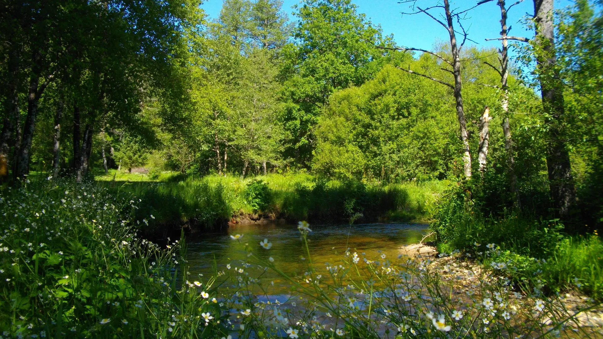 POIS2_Sornac_VTT50_Diège_HCC_Gsalat