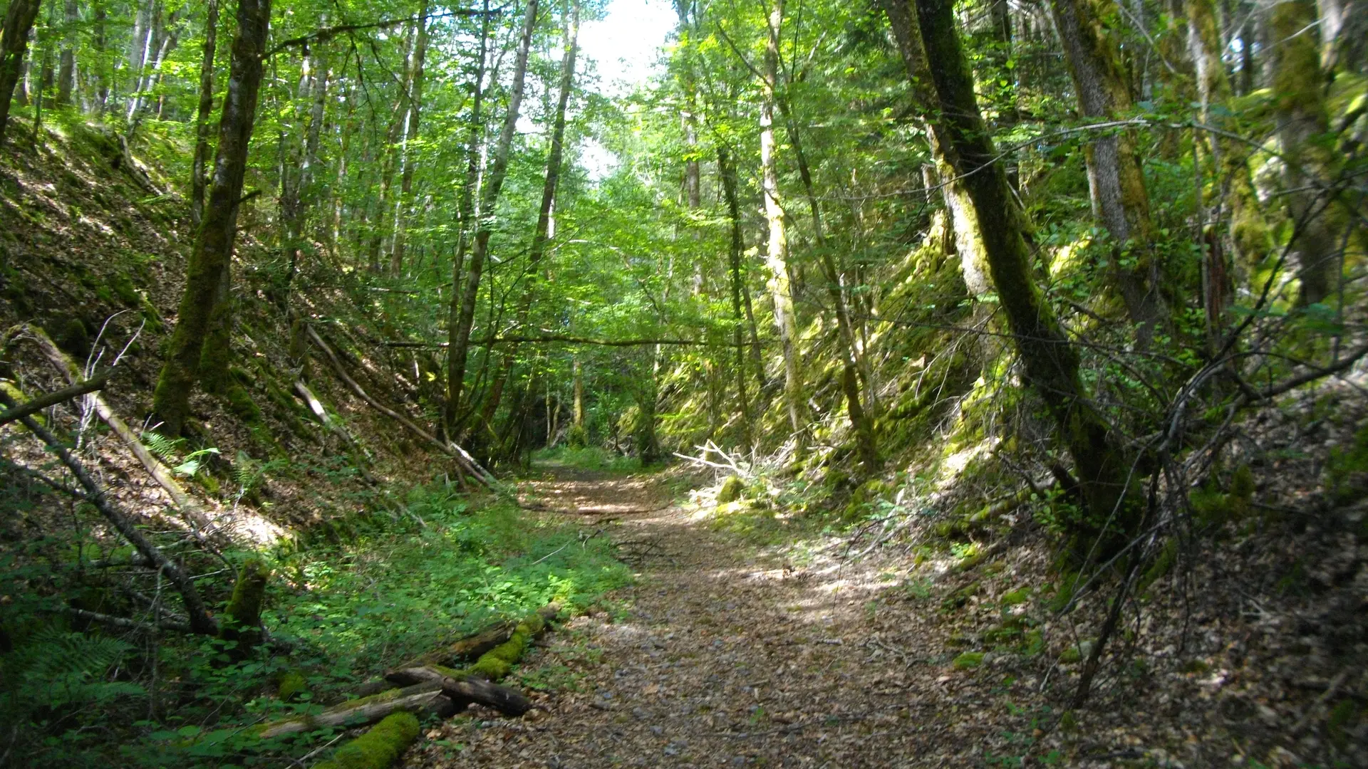 POIS4_STEtienne_voie1_GSalat_HCC