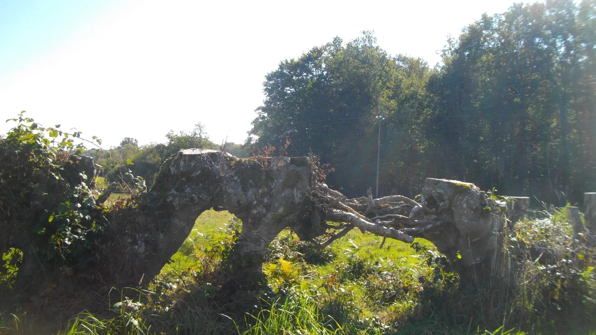 POIS4_StEtienne_Lemovices_circuit4_plessis_HCC_GSalat