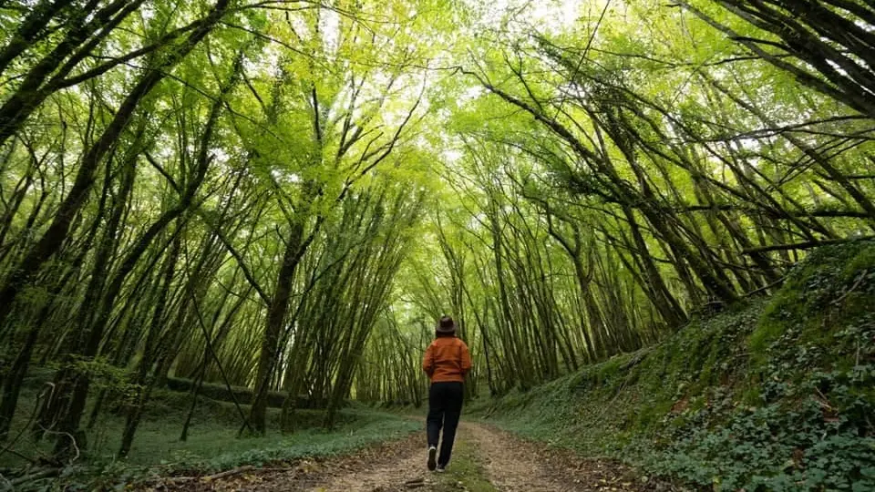 PNA_ITI_influenceurs_Grand Site de France_122641772_2679982462218496_1788609348170131171_n_décembre2020©Jules, Explo