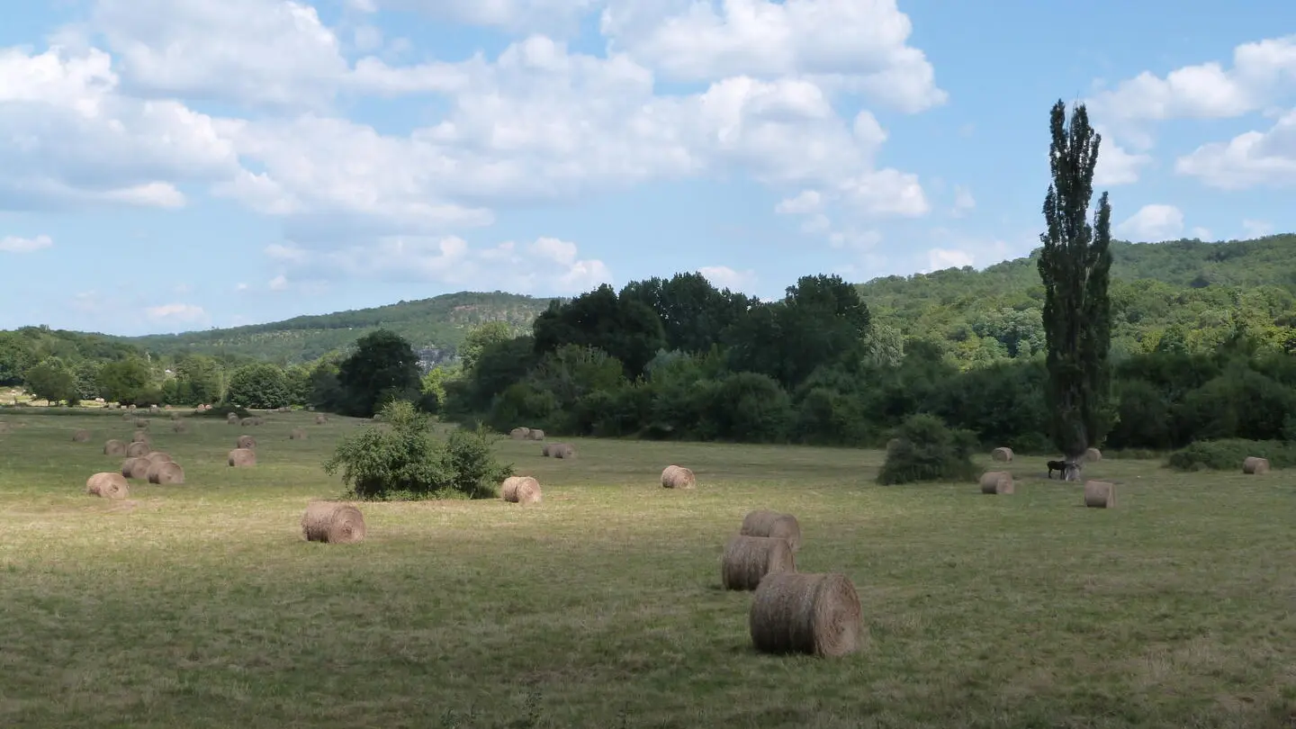 PNA_paysage_Vallée Vézère (183)