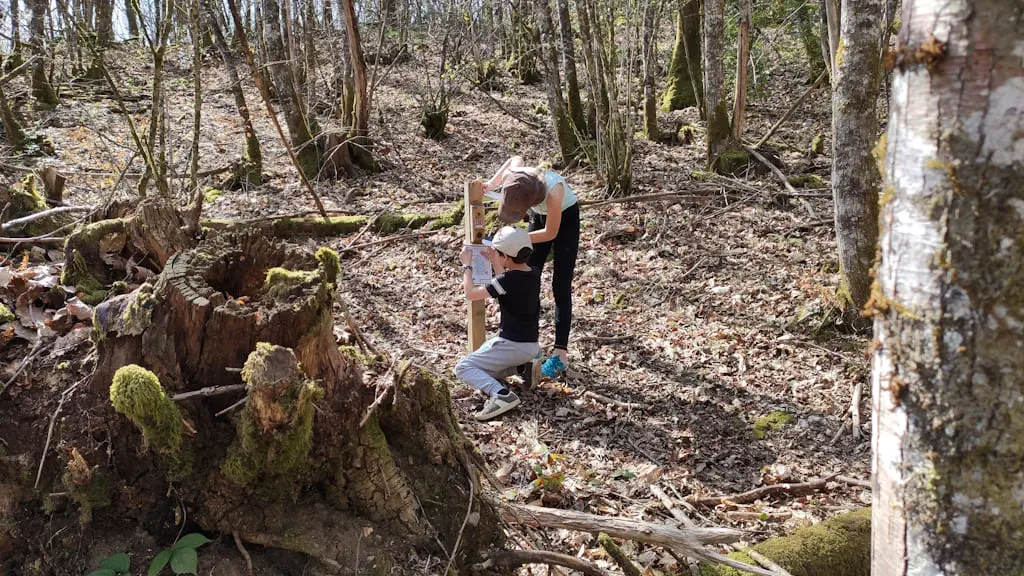 Parcours d’orientation de la forêt communale des Allois près de Saint Léonard de Noblat