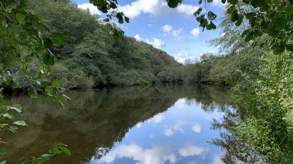 Parcours de Beaufort pour la pêche à la carpe de nuit en Limousin vue vers l'aval près du parking