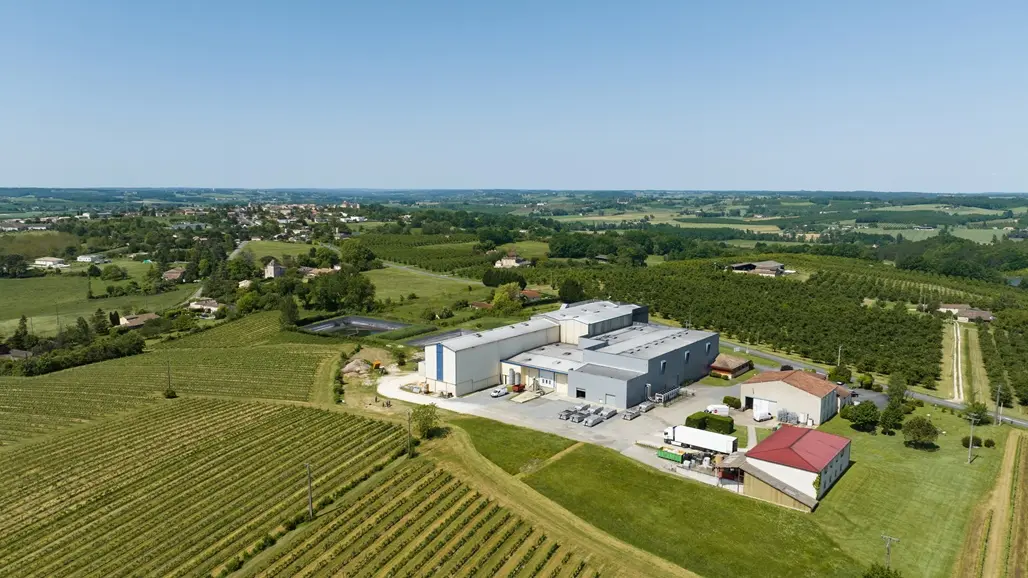Pays_De_Duras_By_Les_Coflocs-135 Berticot
