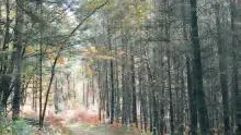Paysage-onglet-general