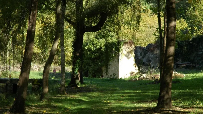 Paysages Moulin étang 06-10 - 09