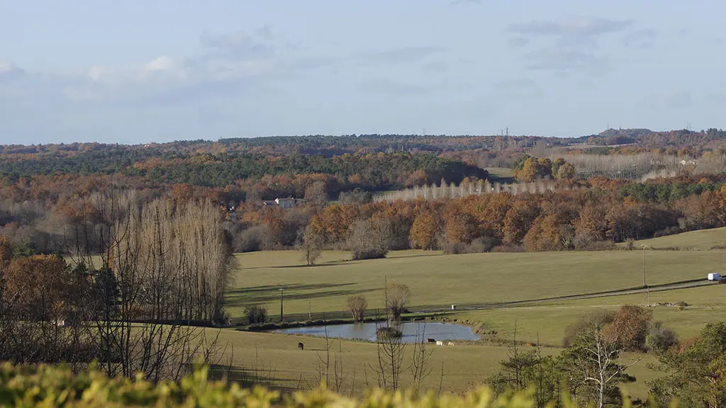 Paysages_campagne_Montpeyroux____MC_Grasseau_-_OT_Bergerac__2_