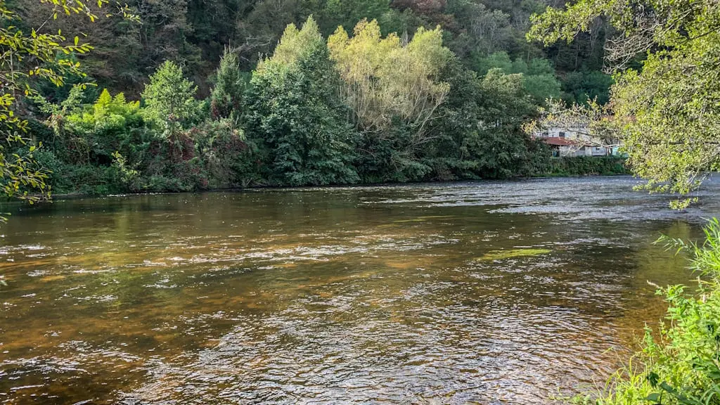 Pêche à la mouche aux leurres et appâts naturels à Saint Léonard de Noblat en Limousin