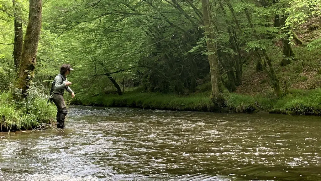 Pêche à la truite et l'ombre commun en Limousin sur la rivière Combade