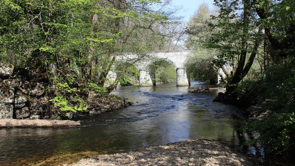 Pêche à la truite fario et ombre commun sur la Vienne à Saint Denis des murs au Pont du Râteau