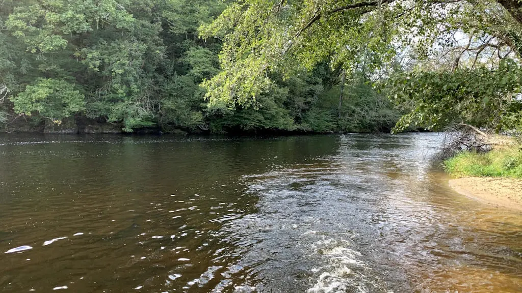 Pêche aux carnassiers cyprinidés et salmonidés en Limousin en aval du seuil du Moulin du Got