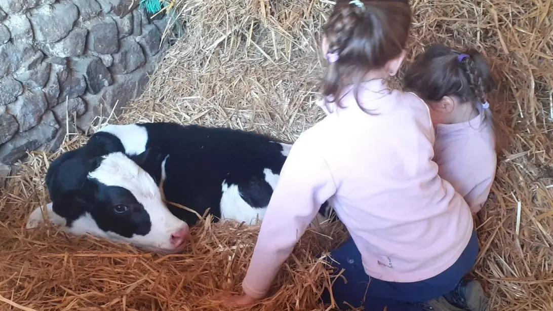 Tous à la ferme !