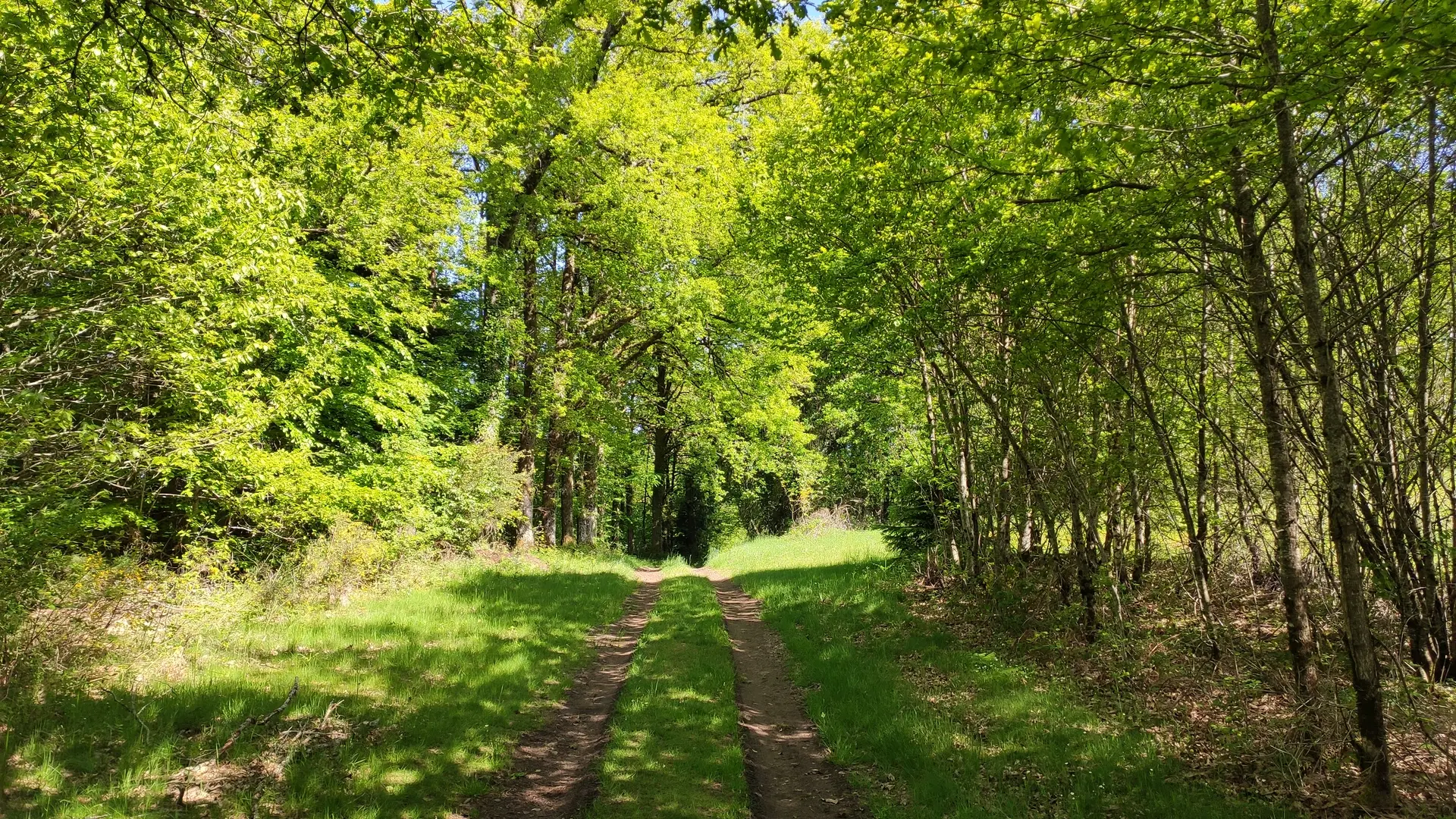 Photo d'appel 2 - Chemin du Puy Vieux