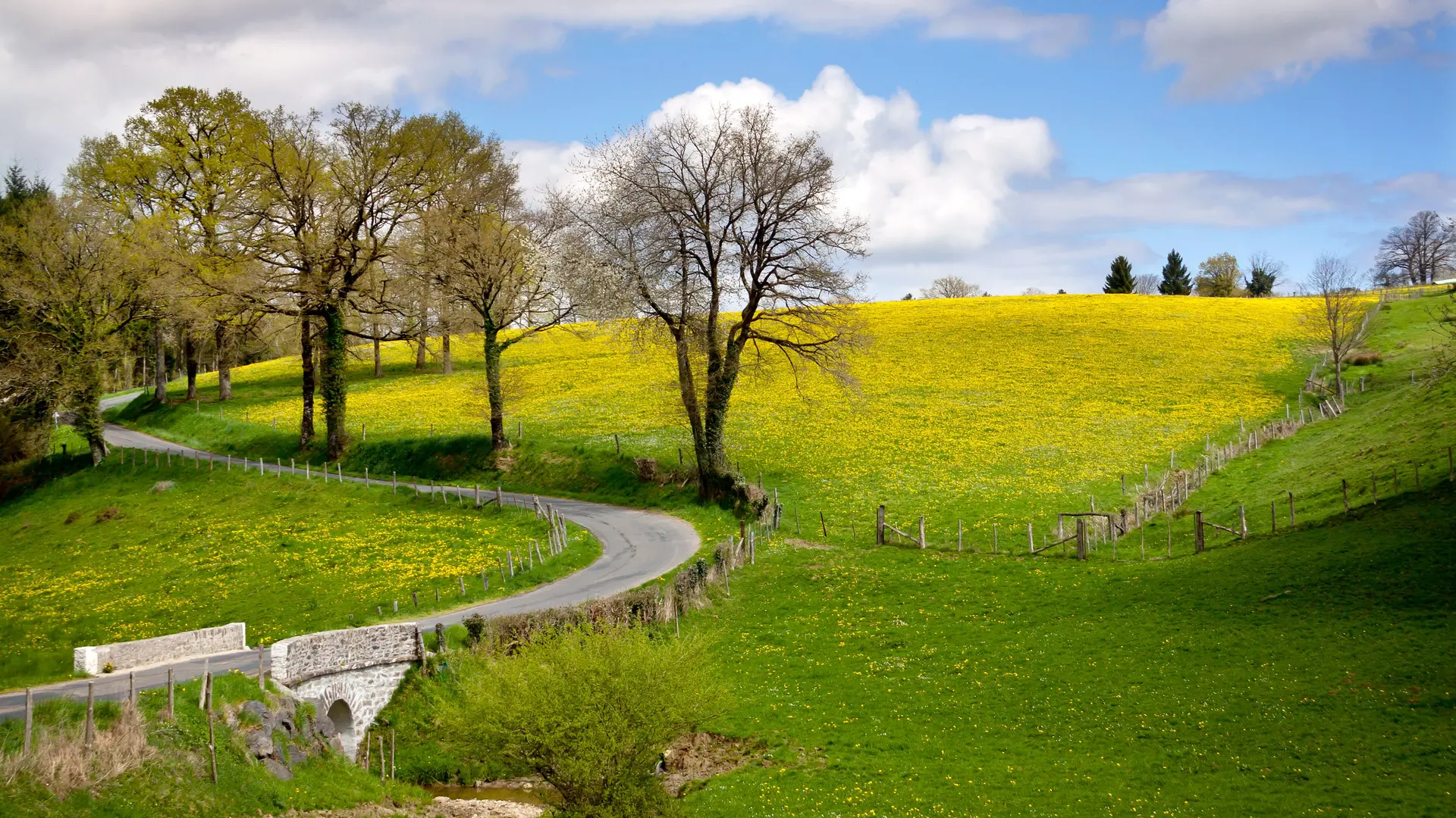 Benayes_route de Montgibaud