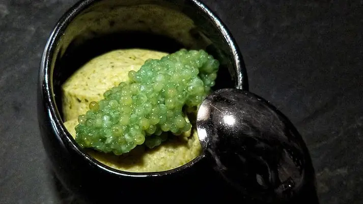 Photo domaine de la minotiere