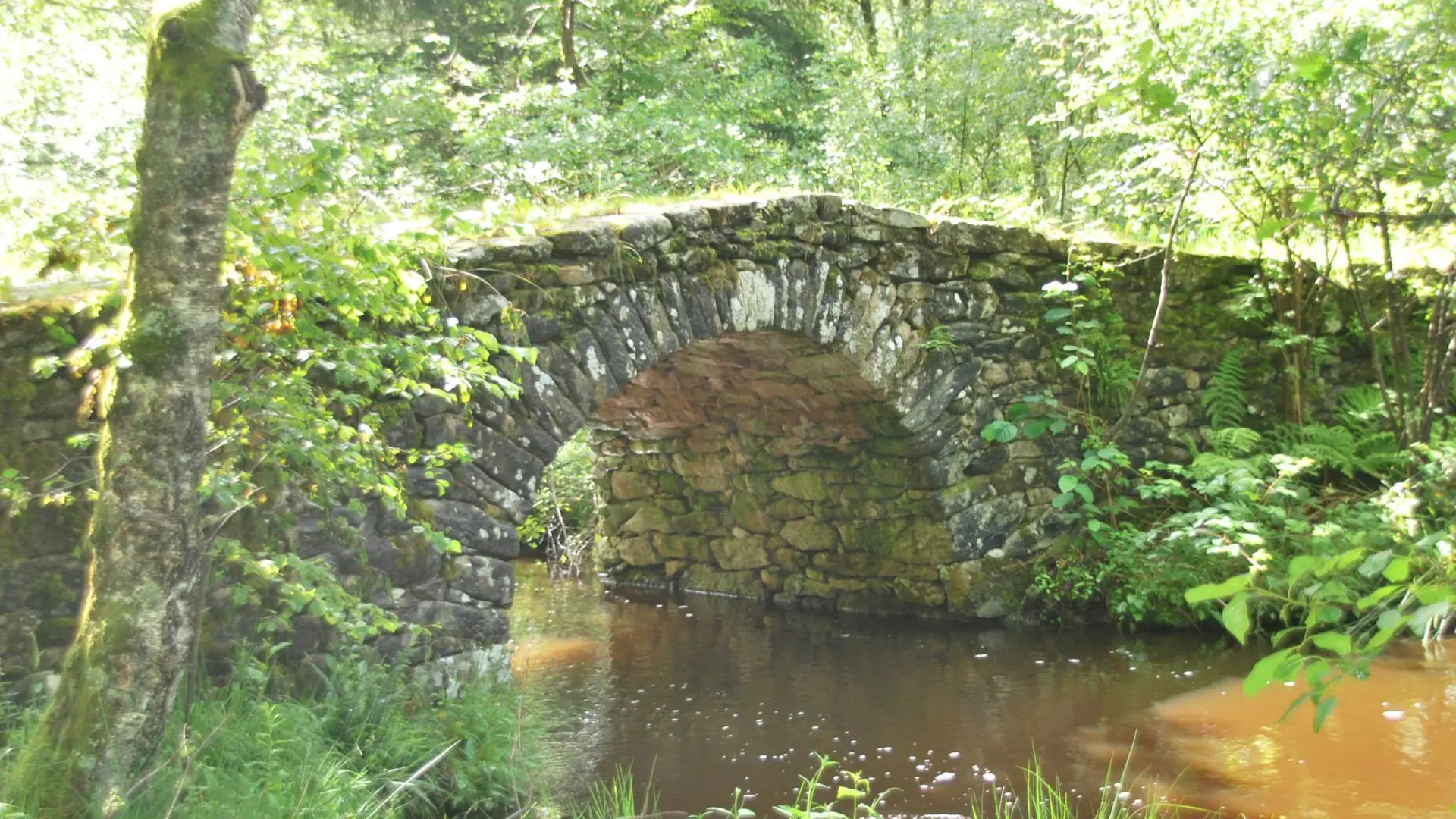 Photo_generale_-_Bugeat_-_circuit_37_-_Pont_Romain_-_auteur_G_Salat