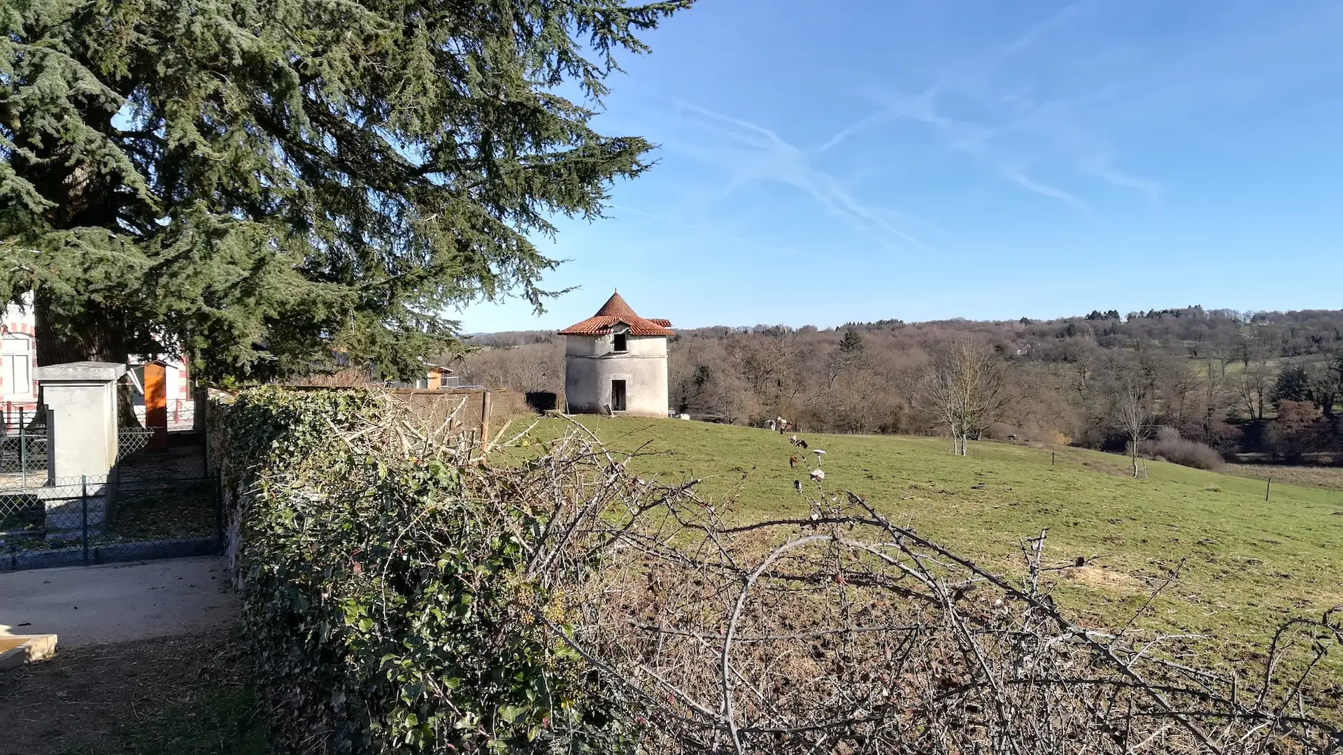 Pigeonnier_Aureil