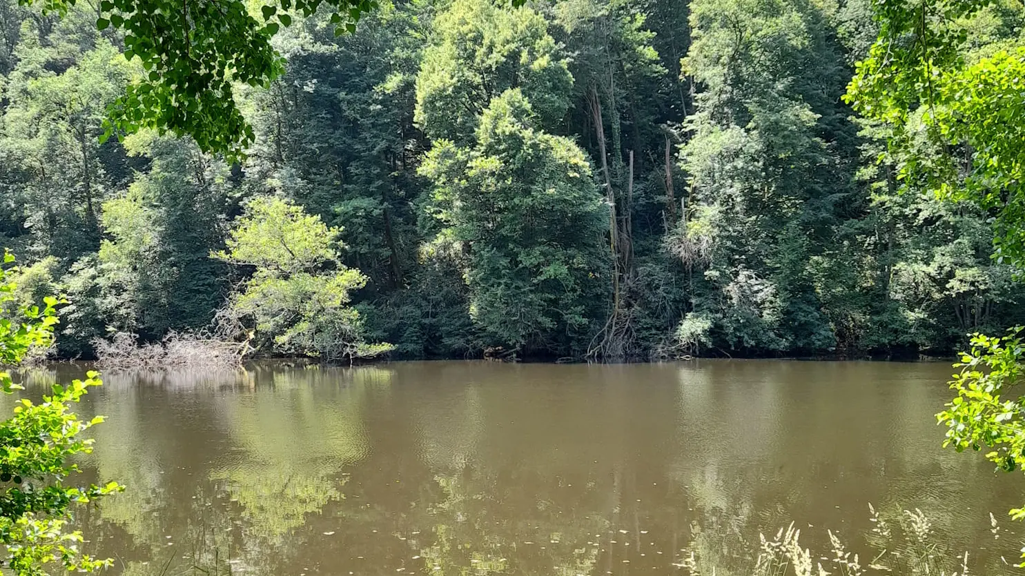 Pique-niquer au calme et à l'ombre à Saint-Léonard de Noblat à l'aire de pique-nique de Beaufort le long de la rivière
