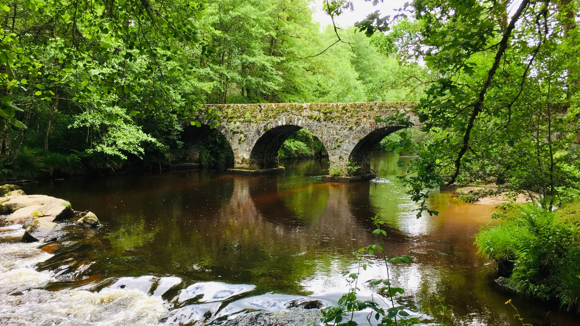 Pont de Claveyrolas, Nedde