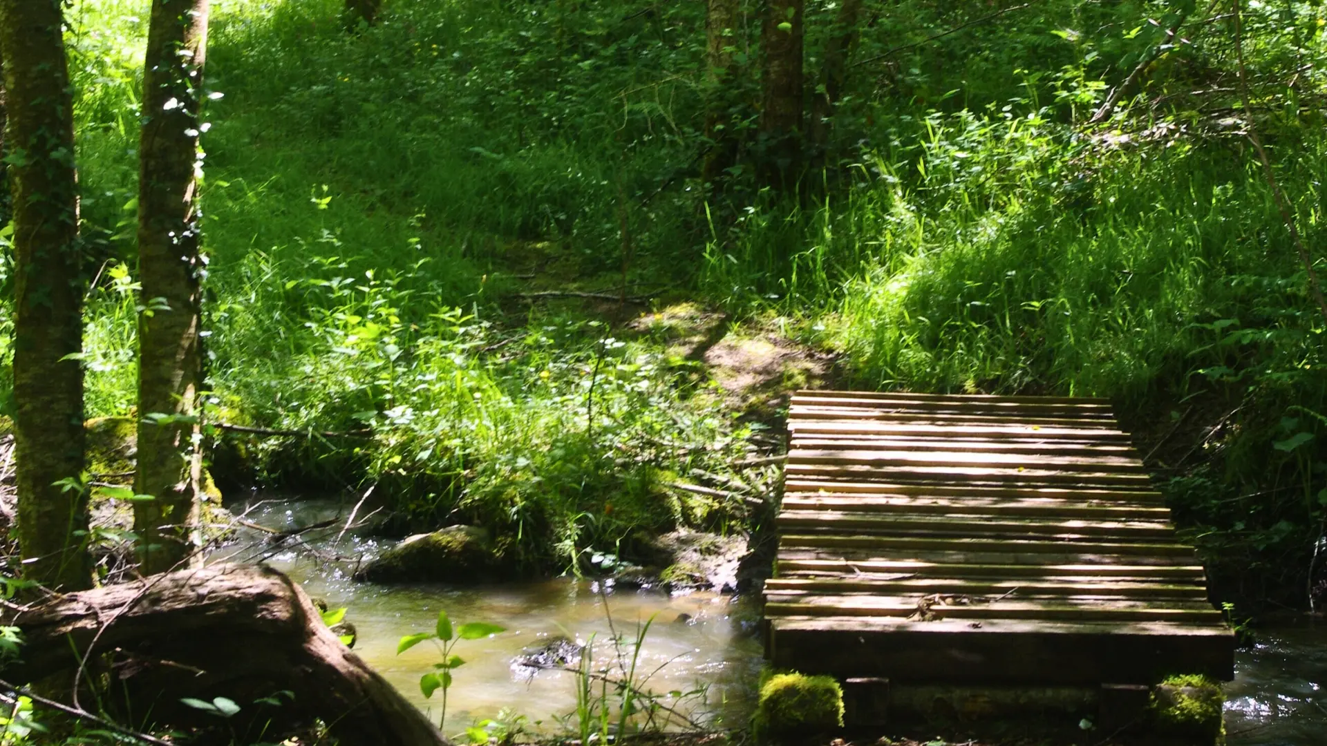 Pont sur le ruisseau de Bopertus (Bujaleuf) - Mai 2025