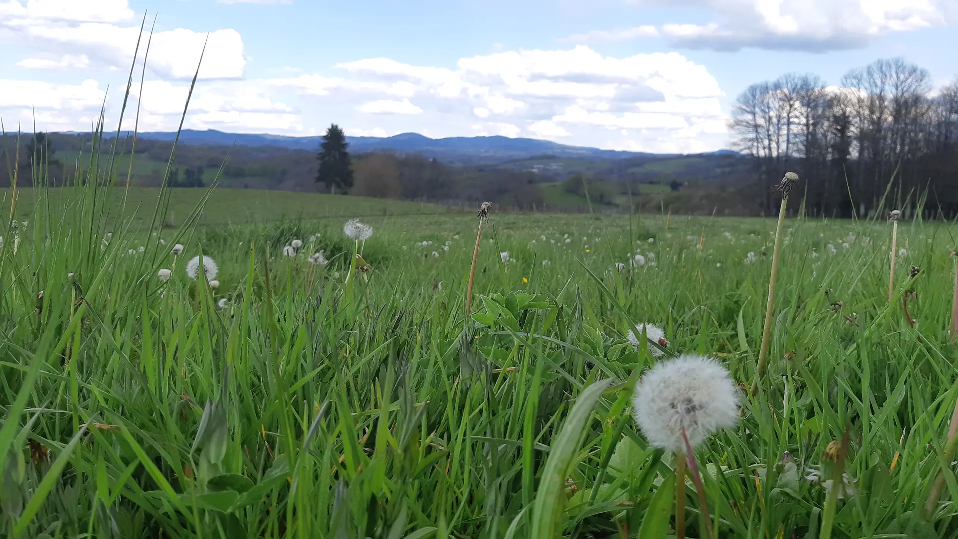 Point de vue Puy Poyau - Circuit des 2 Bourgs -Eyburie © A.Blanchet - OT Terres de Corrèze (14)