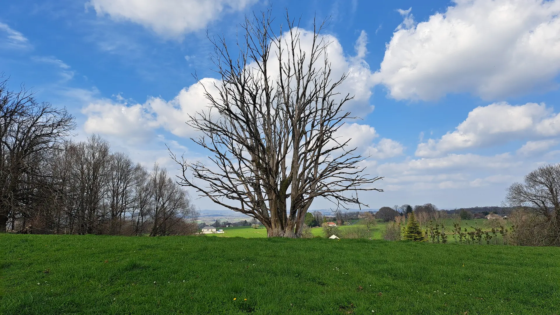 Point de Vue - Chignac - Pompadour © JL OT TDC (1)