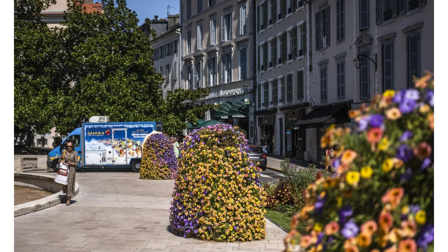 Place de la Libération Pau Georgio