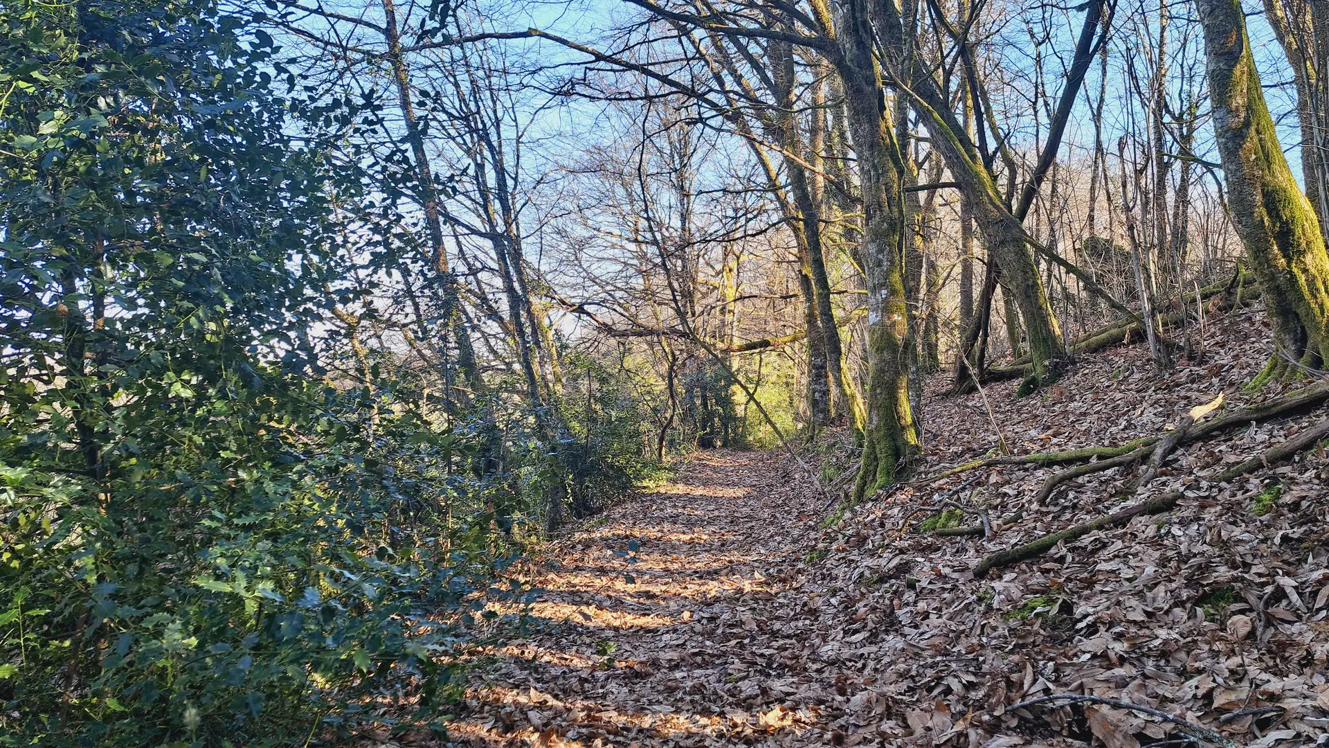 Présentation - La Siauve - Beyssac © JL OT TDC (11)