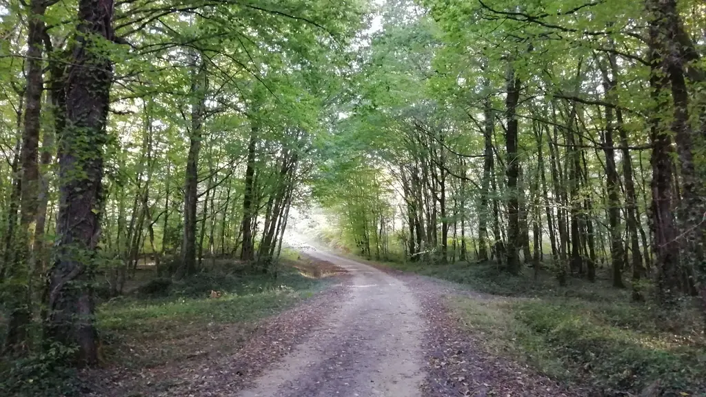 Prigonrieux - Claud de Bled (8)