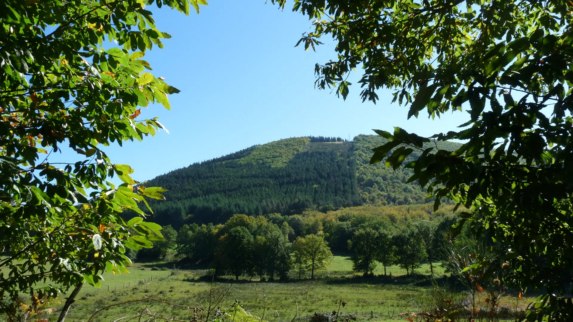 Puy de la Monédière (2)