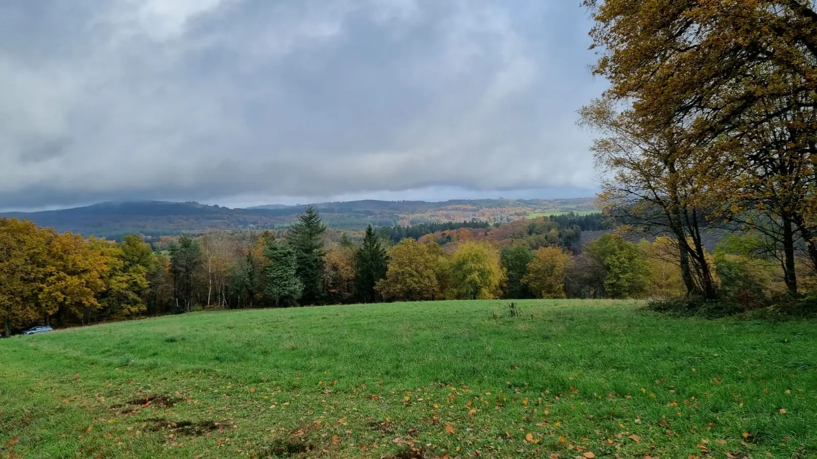 Puy du Mas - Automne - St-Hilaire-Les-Courbes ©L Léonard (4)