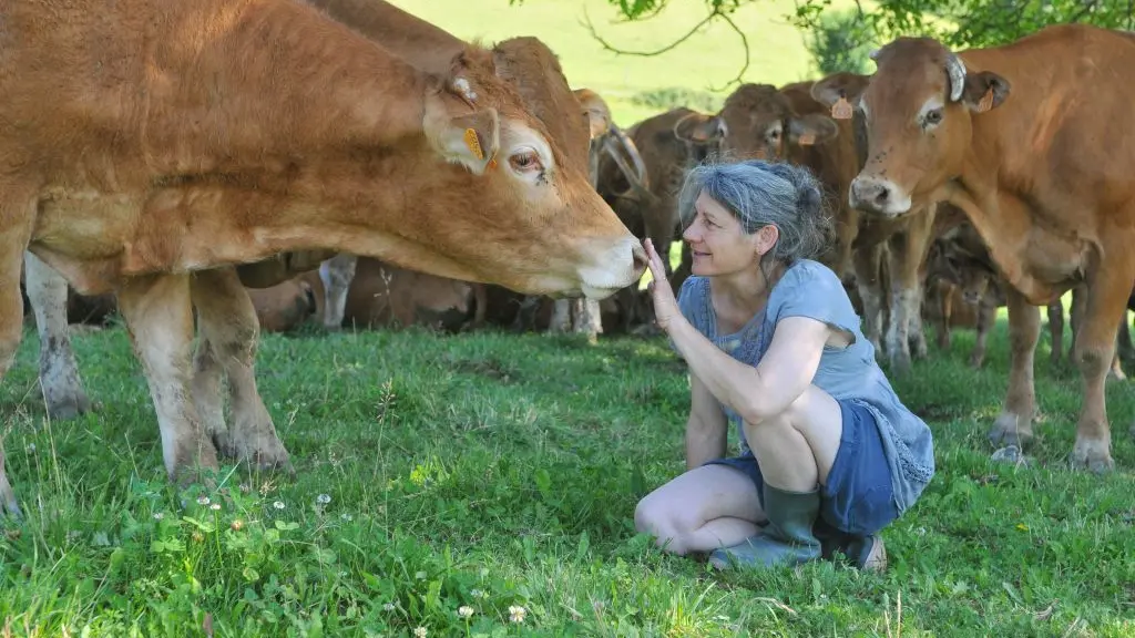 reportage photo Ferme producteurs valorisations produits locaux