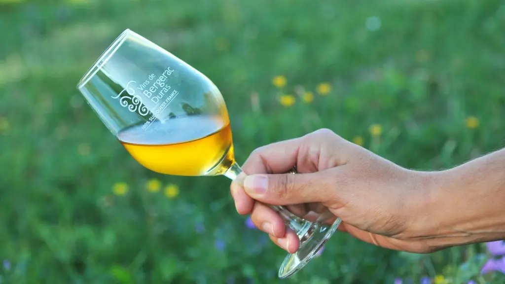 Reportage photo professionnel valorisation de votre vignoble cave