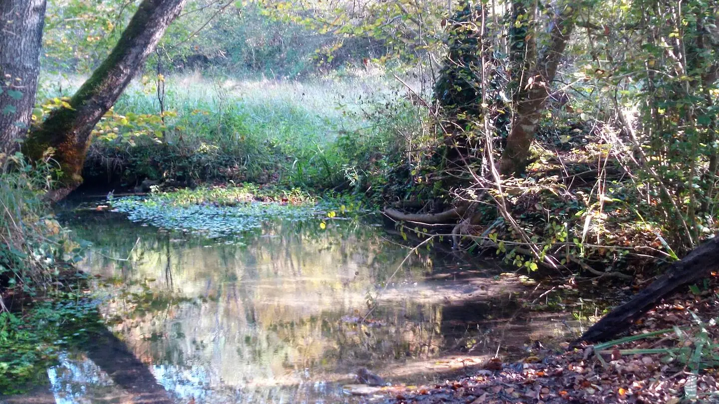 Randonnée-Rouffignac (11)