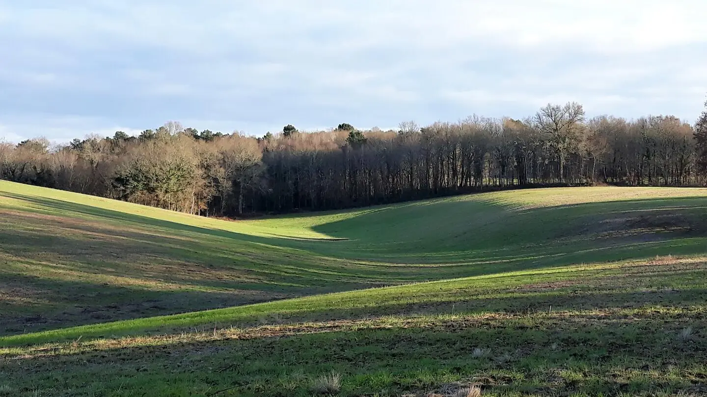Randonnée-Rouffignac-L'Herm (1)