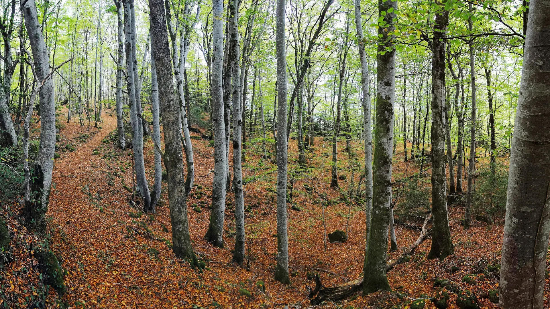Randonnée sous les orgues ©Josselin Mathiaud