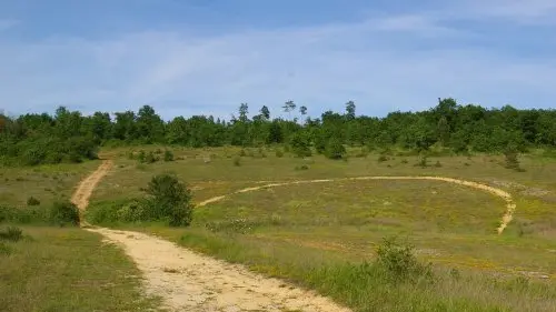 Rando Causse de Savignac - Illustration 2