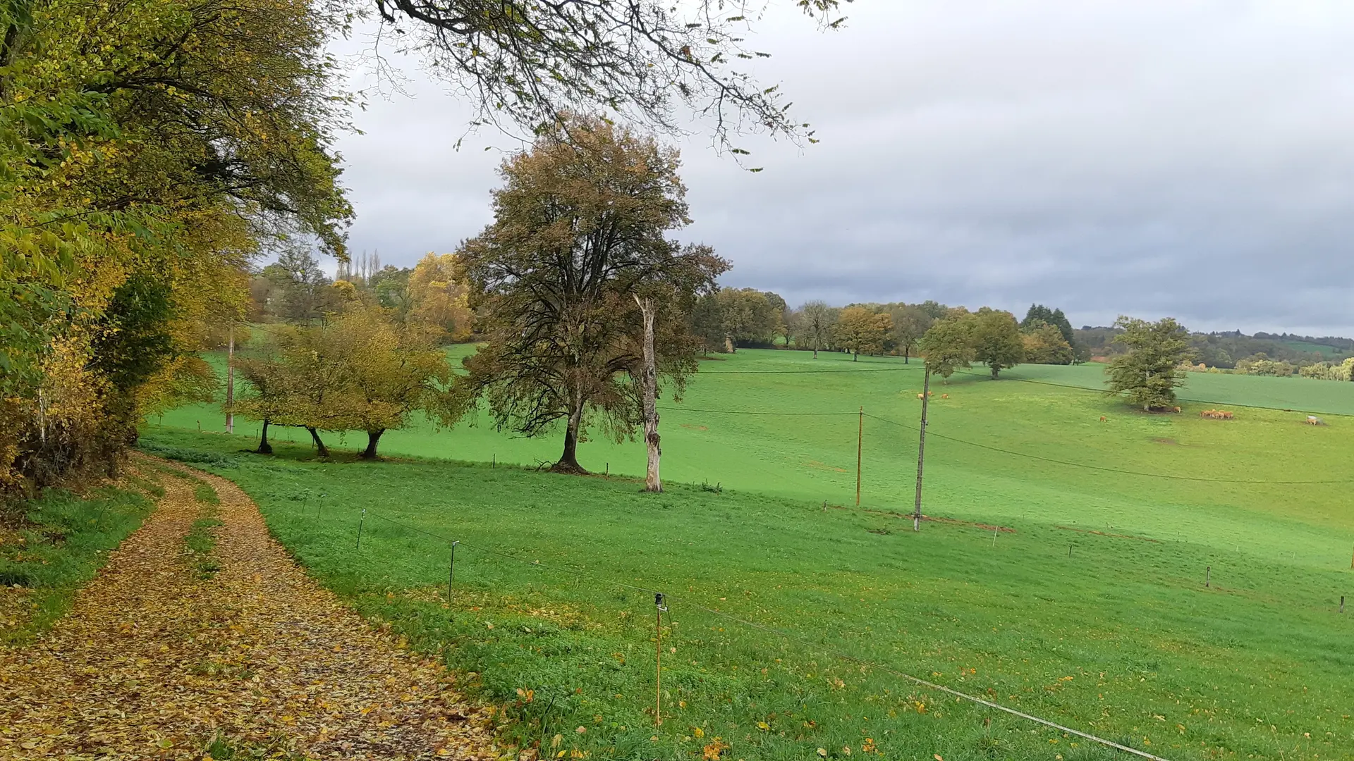 Rando du Ganaveix au Bradascou Condat sur Ganaveix ©Audrey Blanchet  (1)