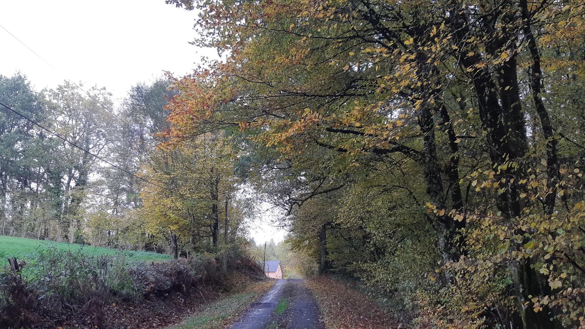 Rando du Ganaveix au Bradascou Condat sur Ganaveix ©Audrey Blanchet  (2)