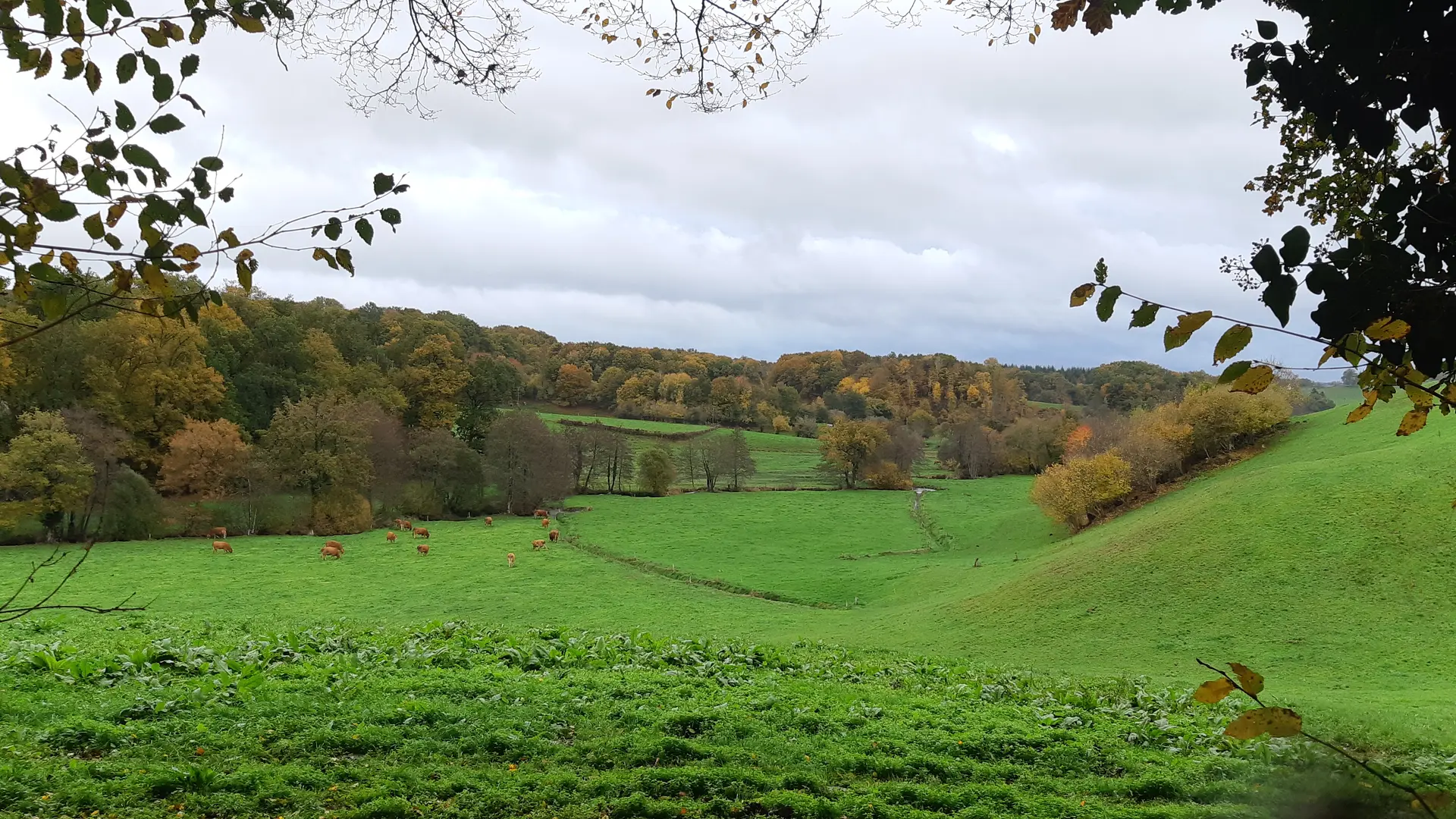 Rando du Ganaveix au Bradascou Condat sur Ganaveix ©Audrey Blanchet  (5)