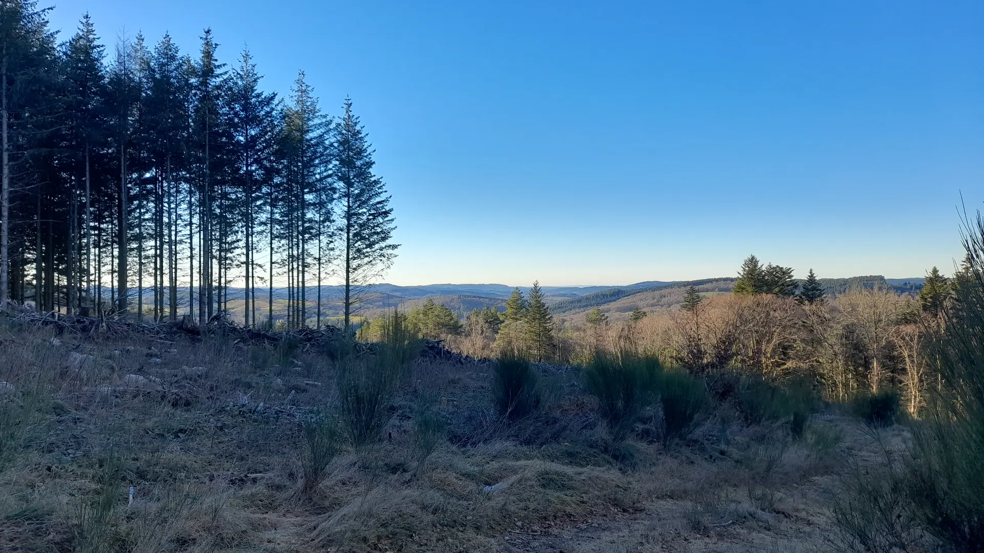 Reco Terra Tarnac - ©Nat Jumelle (15)