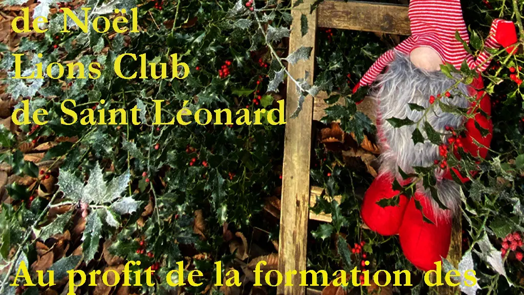 Reg'Arts de Feu 2025