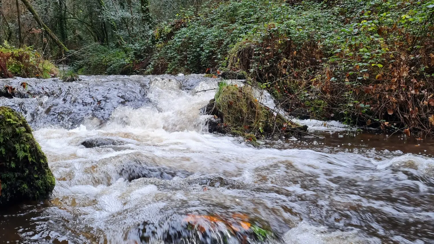 Rivière Soudaine - St-Hilaire-Les-Courbes © L Pénicaud (2)