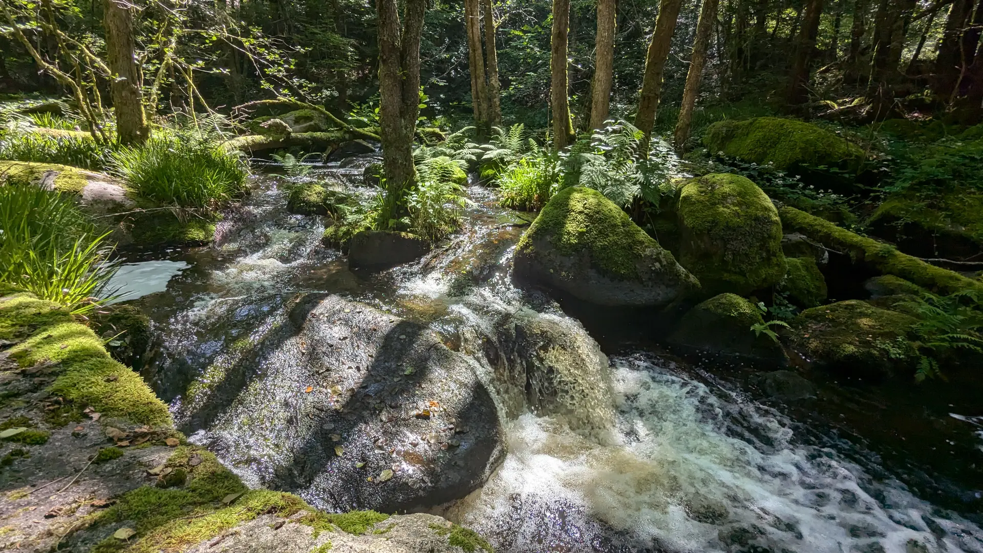 Rocher de Servière © M Clavaux (7)