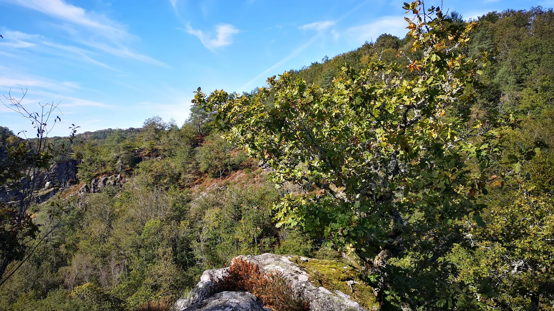 Rocher des Folles - Affieux © N jumelle (3)