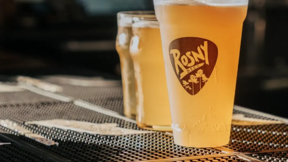 Rosny's Bar le Penon