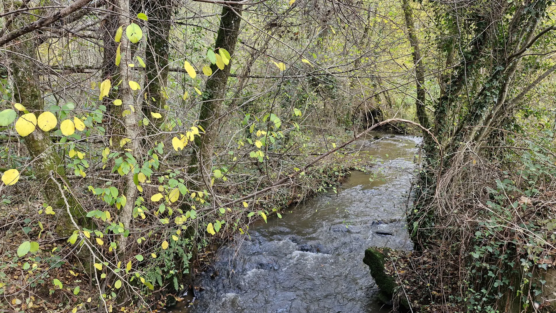 Ruisseau le Gavassou - pont des farges et de chanterane - trcohe © JL (9)