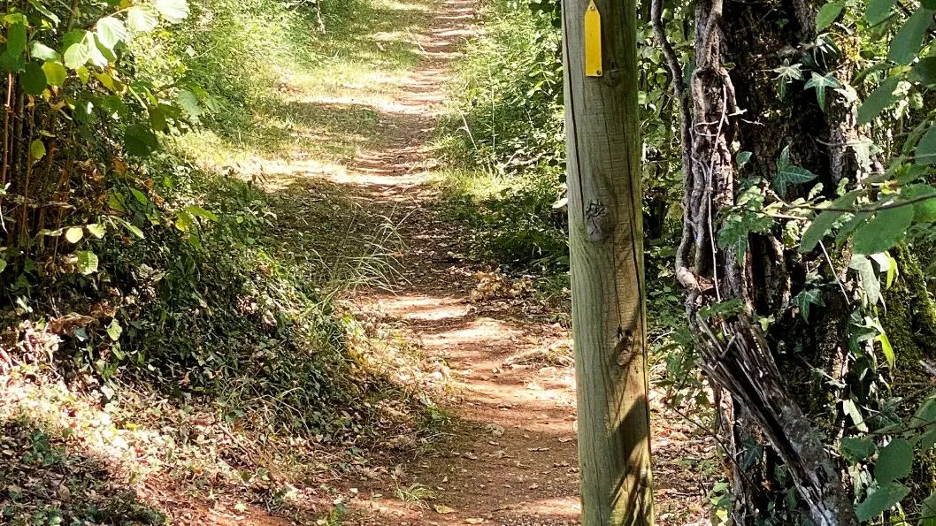 SAINT ALVERE-Boucle de la Louyre-Chemin-Poteau